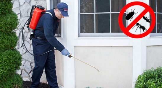 Derepazarı Pire İlaçlama böcek ilaçlama ve haşere kontrolü — ilaclama-tr.com
